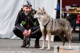 Horská výzva Šumava, 4. místo v kategorii